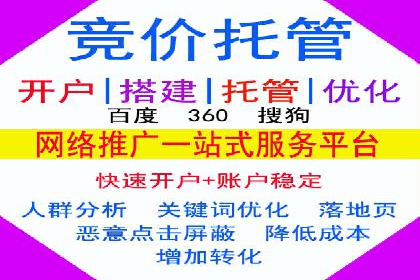 SEM广告投放案例：打造品牌影响力